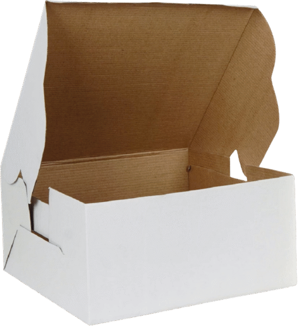 Corrugated box 10*10*10 Inches ( Pack of 10 )